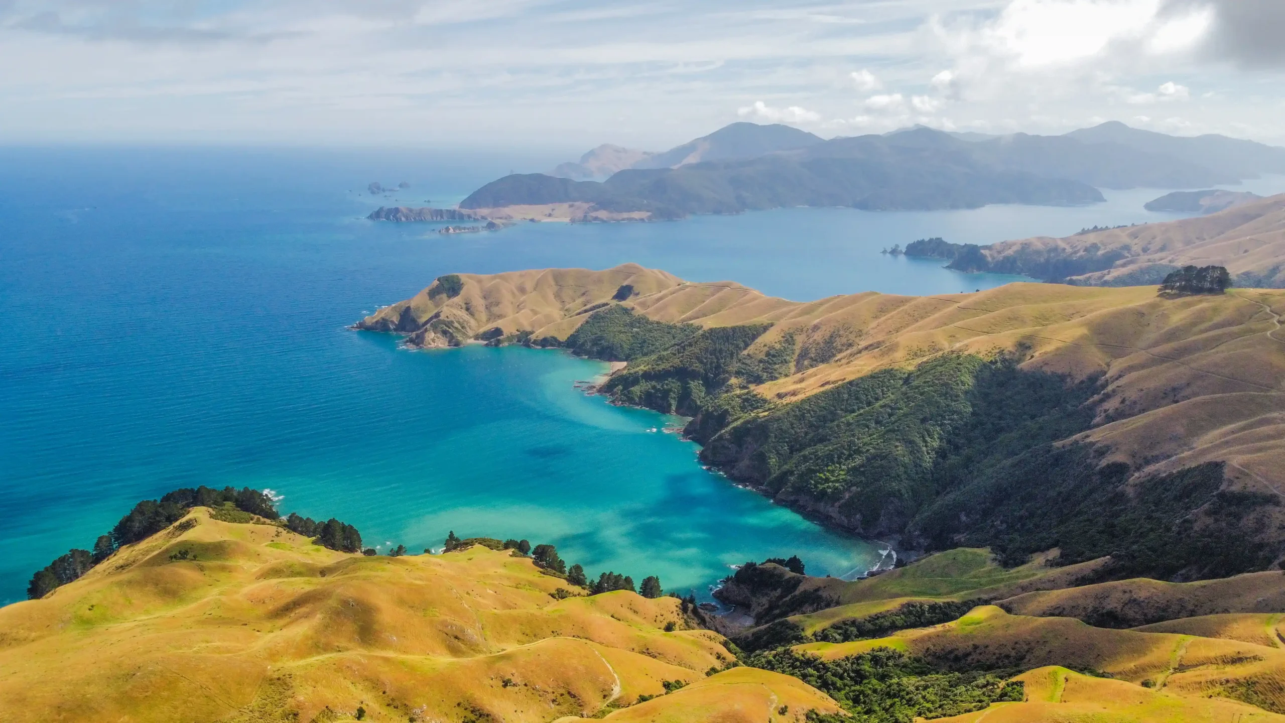 dji_fly_20240218_112316_287_1708229934395_photo_optimized